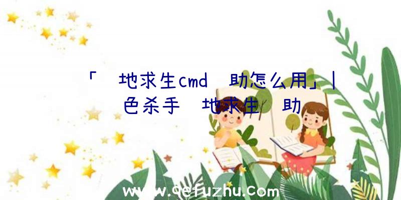 「绝地求生cmd辅助怎么用」|银色杀手绝地求生辅助